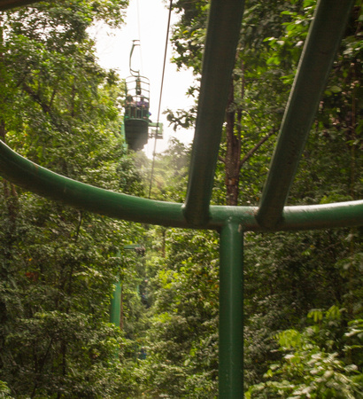 Rainforest Aerial Tram