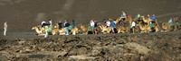 Mounting the camels