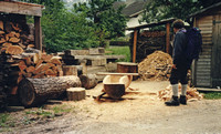 Woodcutter's yard