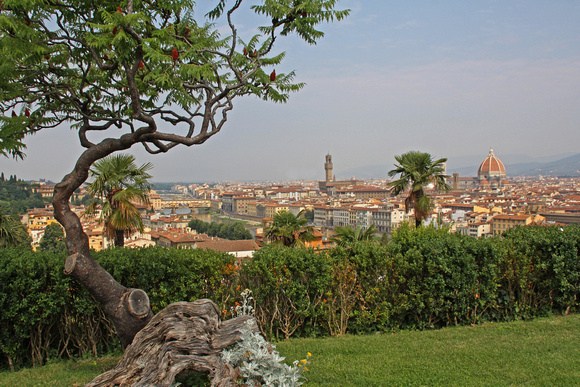 Florence from The Belvedere