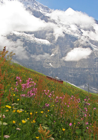Jungfrau train below Eiger glacier