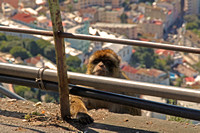 Above Gibraltar