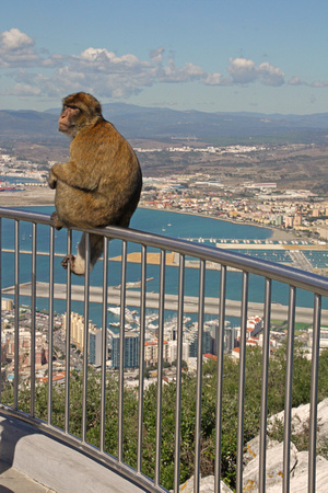 At top cable car station