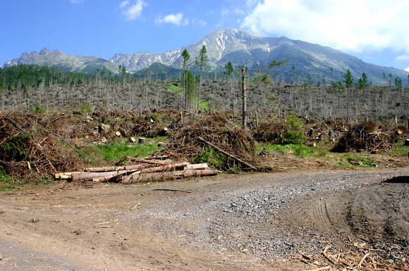 Tatra devastation
